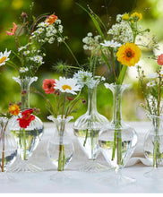 Load image into Gallery viewer, Bud Vase Clear Large