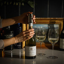 Load image into Gallery viewer, Vacuum Wine Bottle Stopper