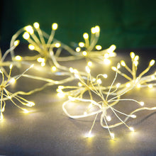 Load image into Gallery viewer, Allium Starburst LED String Lights - 2m