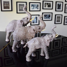 Load image into Gallery viewer, A-Z Newsprint Decorative Papier Mache Elephants