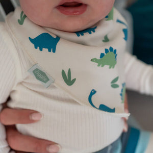 Dino Print Bib