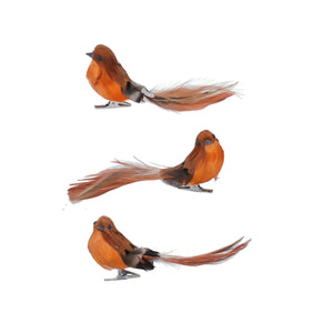 Feather Robin Clip