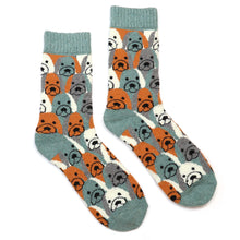 Load image into Gallery viewer, Green Stripe Dog Socks Duo
