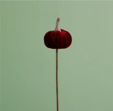 Load image into Gallery viewer, Mini Velvet Pumpkin Burgundy PK12
