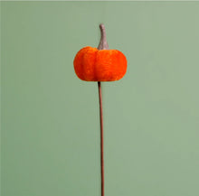 Load image into Gallery viewer, Mini Velvet Pumpkin Orange PK12
