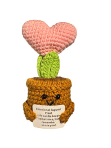 Positive Pink Heart Plant