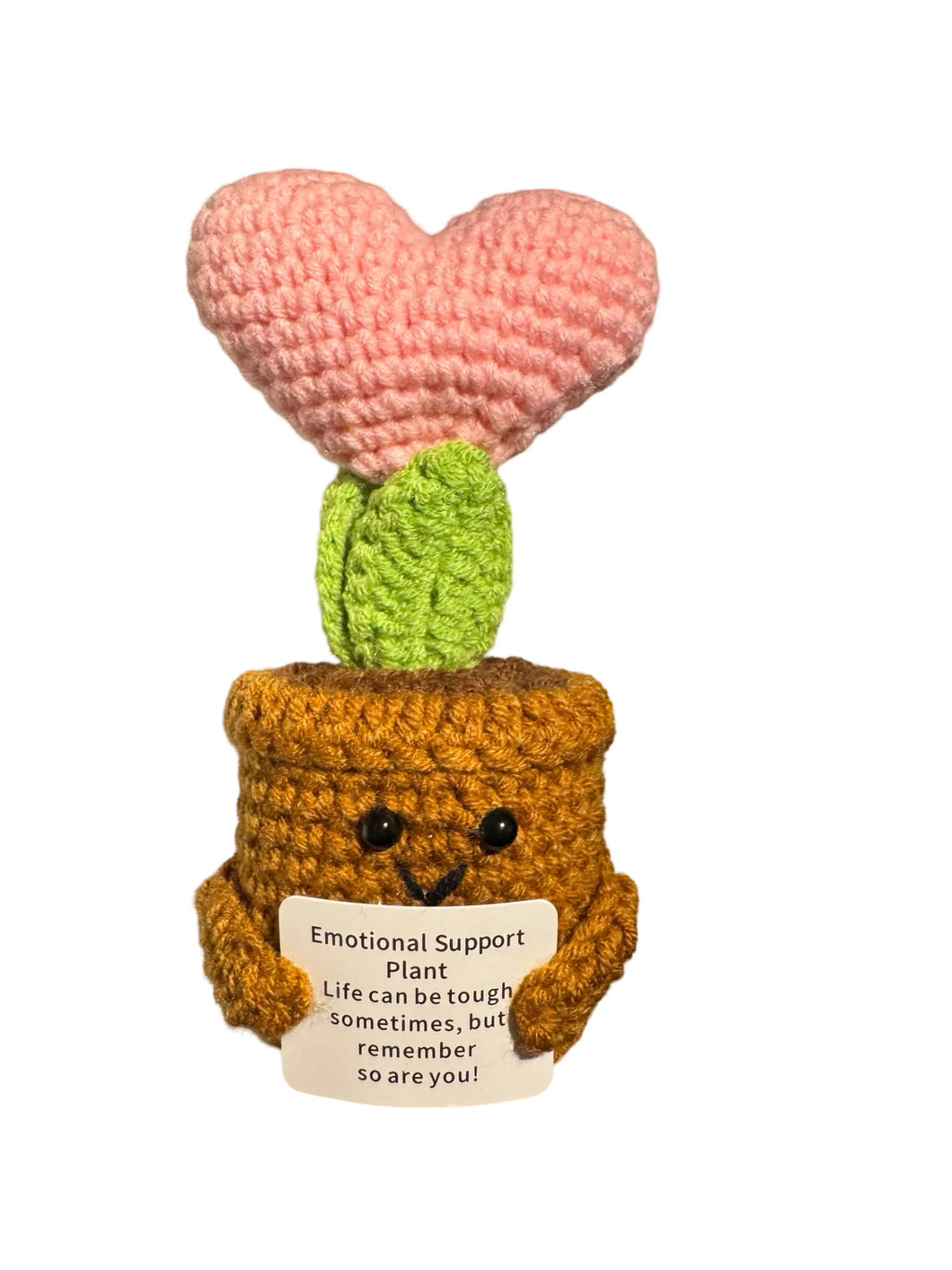 Positive Pink Heart Plant