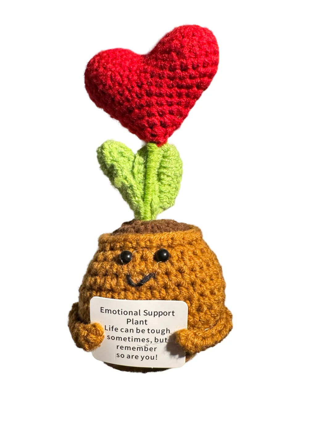 Positive Red Heart Plant