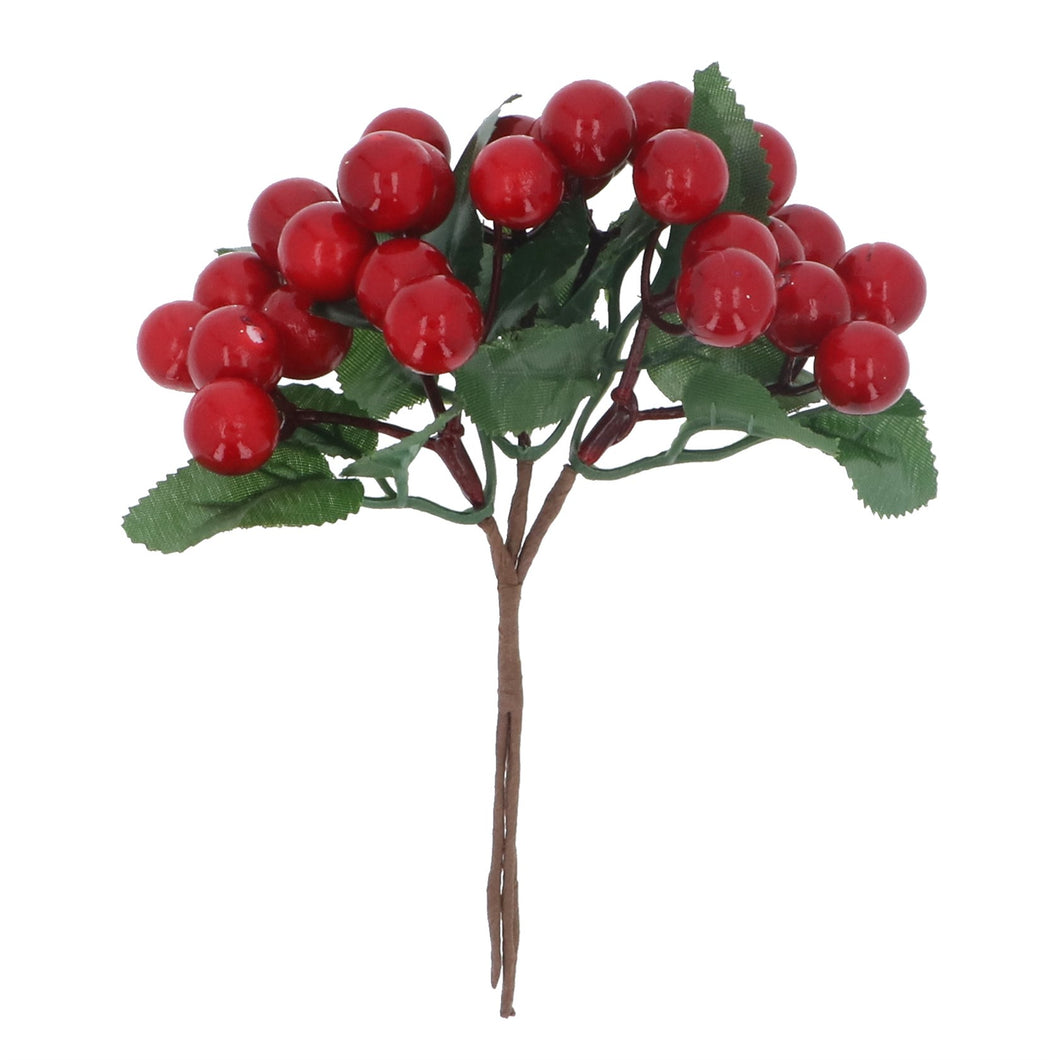 Red Berry with Leaves Bunch