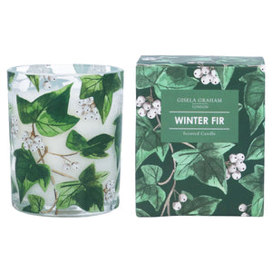 Ivy Scented Boxed Candle Sml