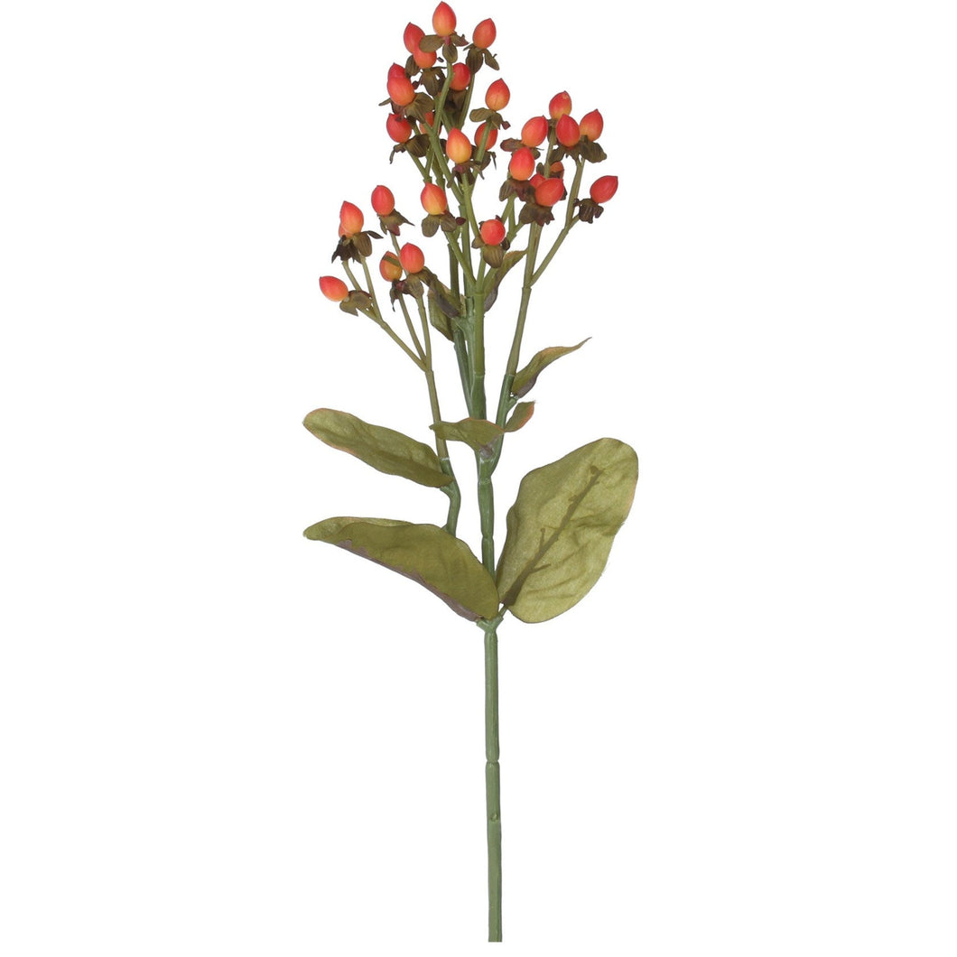 Dark Orange Berry Spray