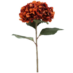 Russet Hydrangea Stem