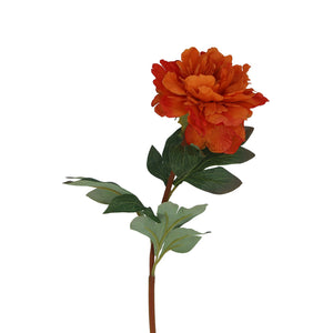 Dark Orange Peony Stem