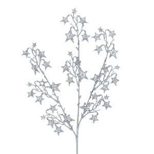 Silver Star Spray