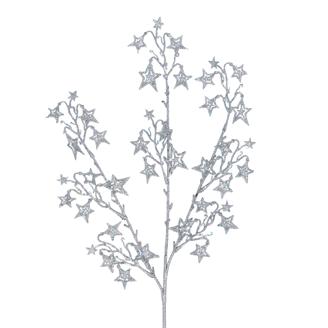 Silver Star Spray