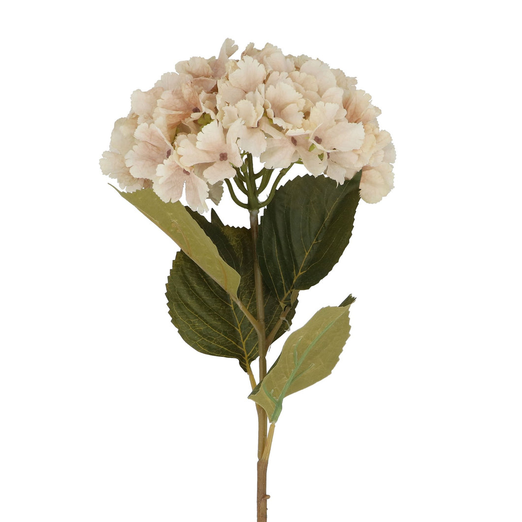 Antique Cream Hydrangea Stem
