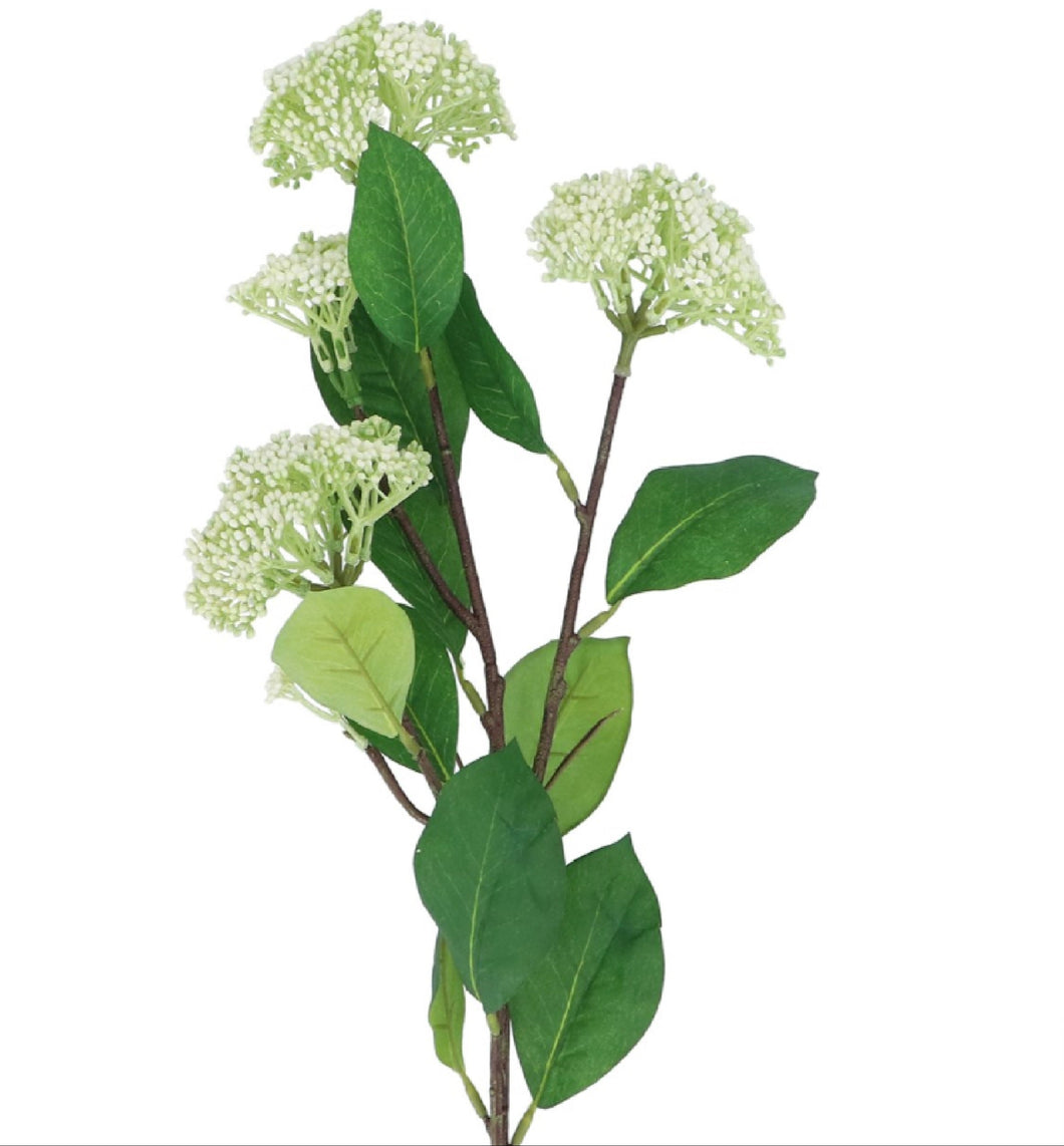 White Elderflower Spray