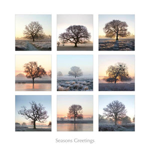 Sentinels Of Bushy Park Single Greeting Card