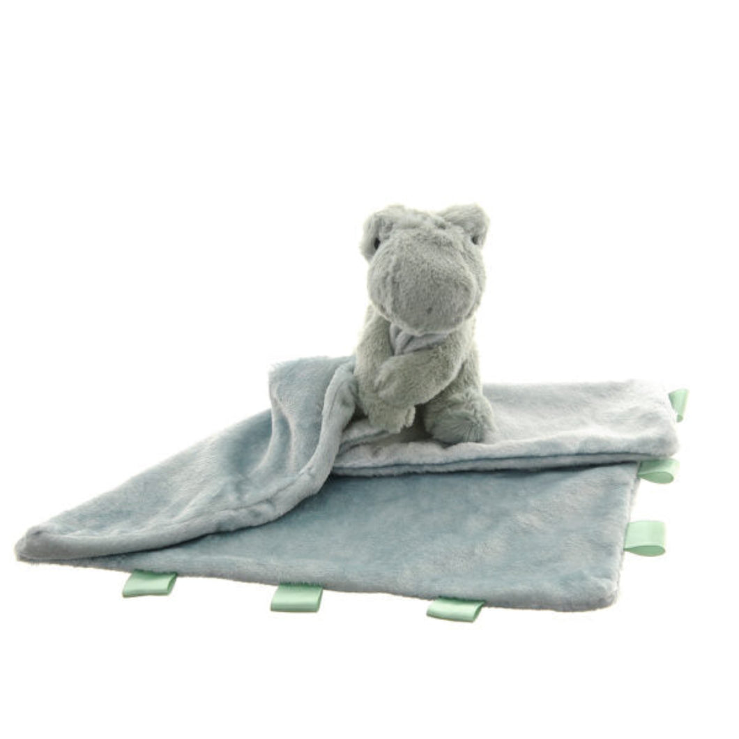 Dinosaur Comforter Blanket