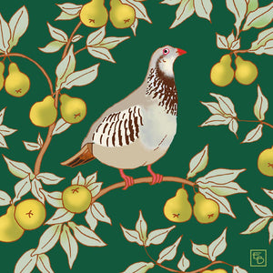 M&G Designer Pack - Partridge