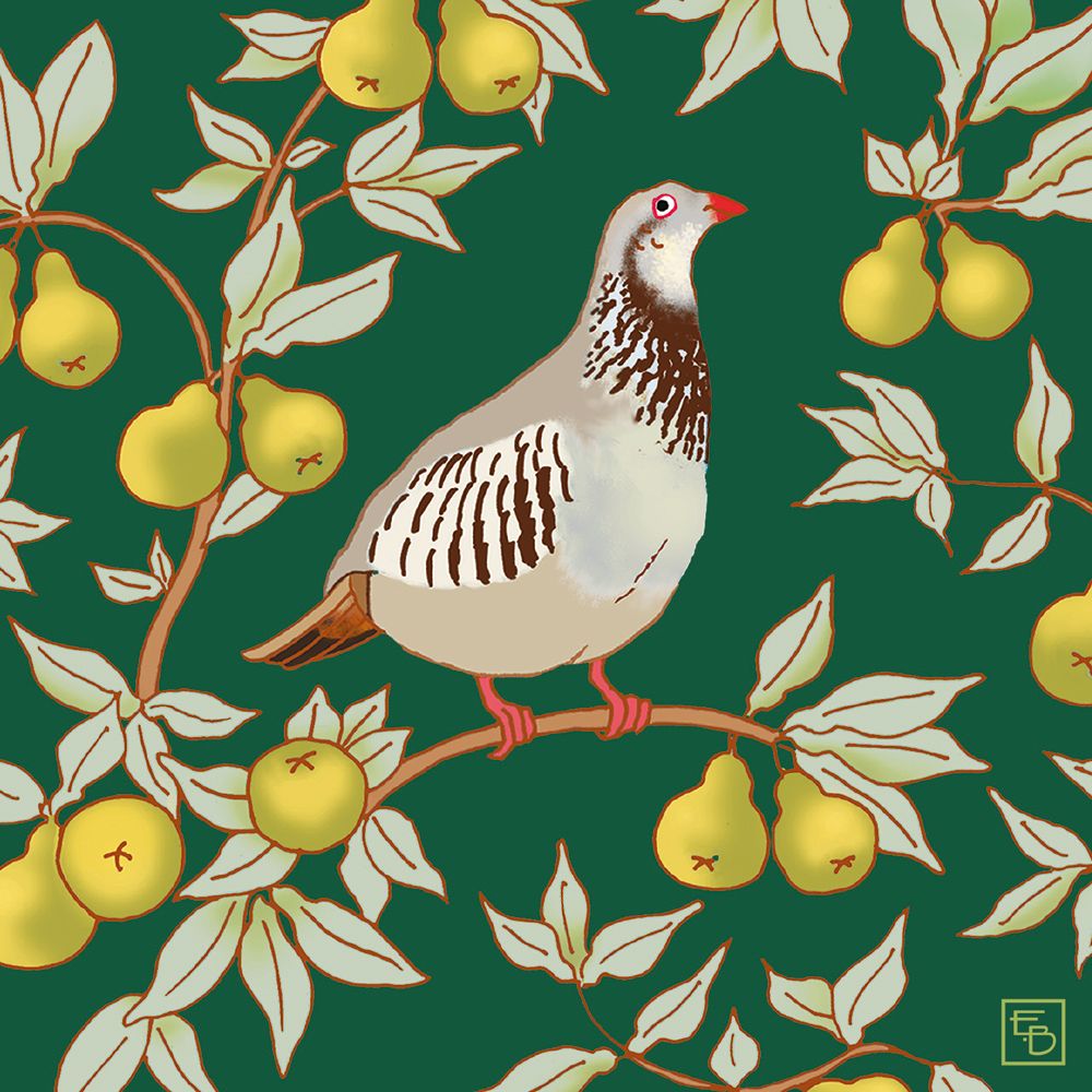 M&G Designer Pack - Partridge