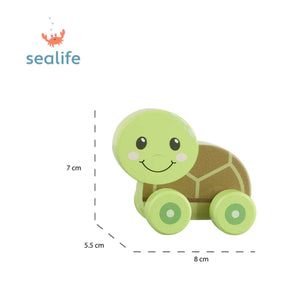 First Push Toy - Turtle