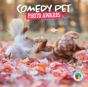 Comedy Pets Wall Calendar 2025