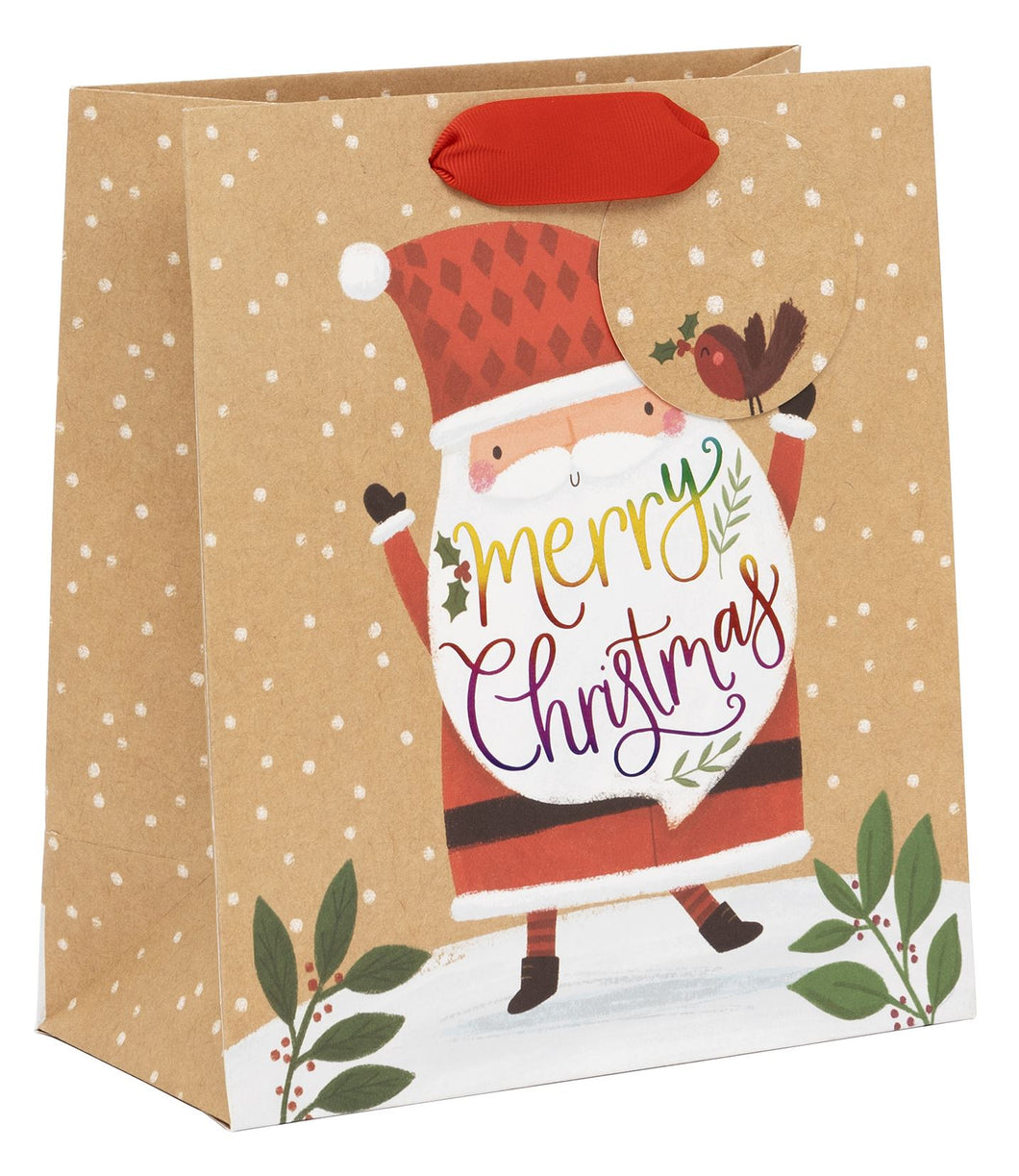 Rainbow Clause Gift Bag - Medium