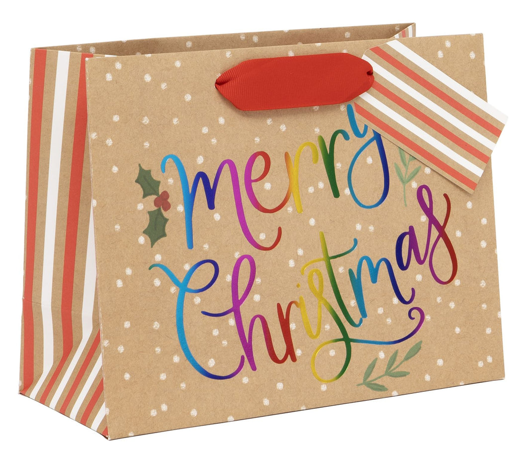 Rainbow Merry Landscape Gift Bag - Medium