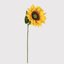 Load image into Gallery viewer, Giant Yellow Sunflower
