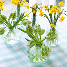 Load image into Gallery viewer, Glass Bud Vase Clear 8cm
