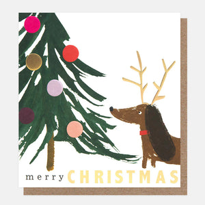 Sausage Dog in Antlers Christmas Card Pack of 8