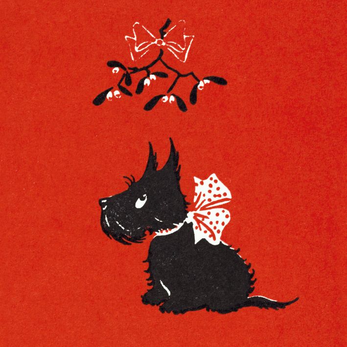 V&A Christmas Pack - Scottie Dog