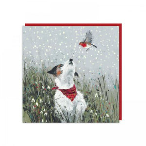 Feathered Friend Charity Pack of 6 Cards