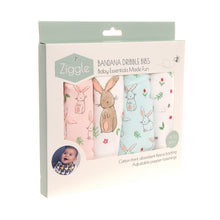 Load image into Gallery viewer, Bunnies bib set
