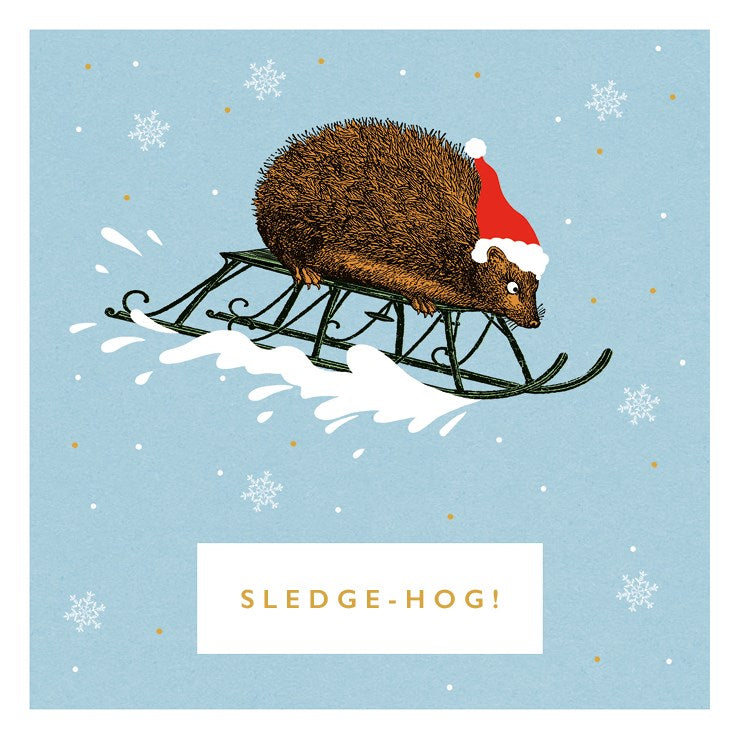 Sledge Hog- Pack of 6