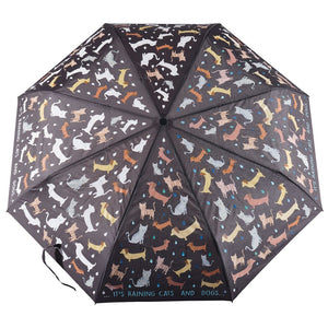 Big Kids Colour Changing Umbrella