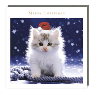 Kitten Charity Christmas Cards - Pack of 5